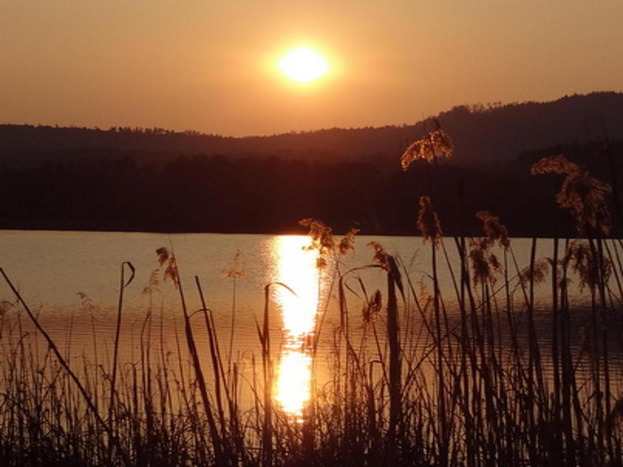 Ilsenhof Am Turnersee Obersammelsdorf エクステリア 写真